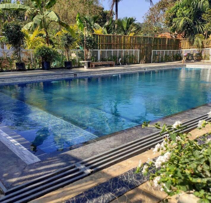 Ibiza Wonderland , Meppadi Wayanad Villa Dış mekan fotoğraf